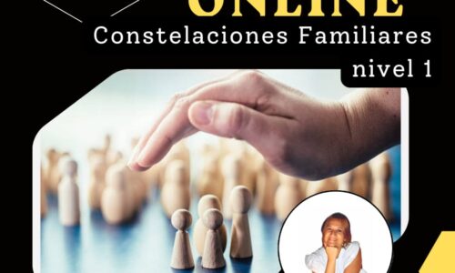 Constelaciones Familiares Nivel 1